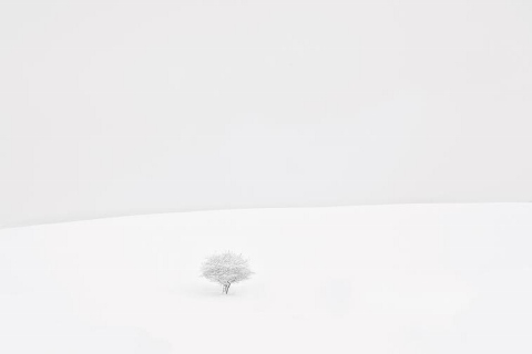 Mario Daniele - Bianca neve metafora del silenzio